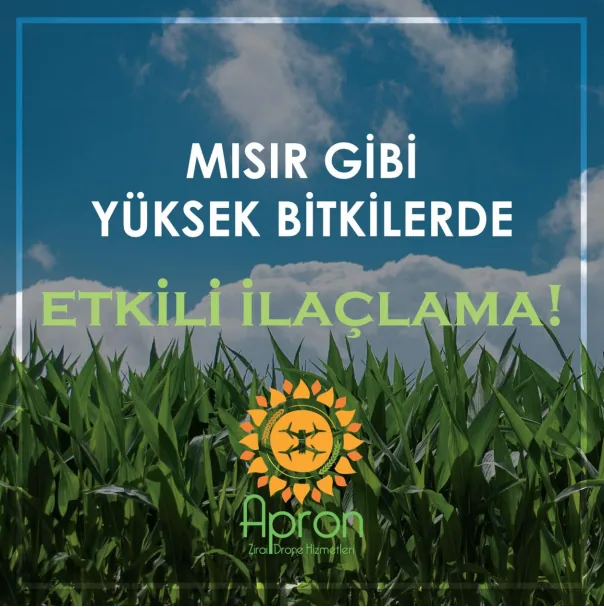 Mısır bitkisinde ilaçlama