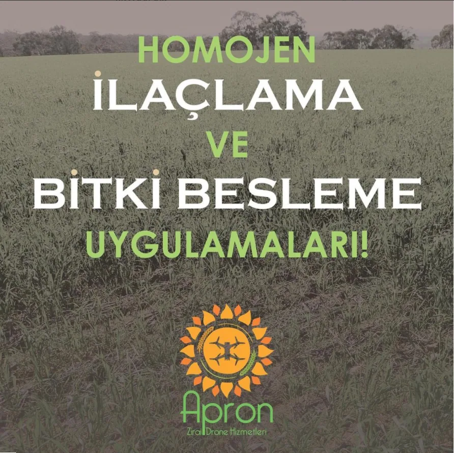 Saha çalışması