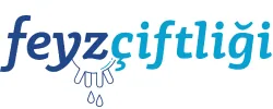 Feyz